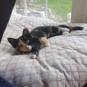 Meet your Posher, Jamie